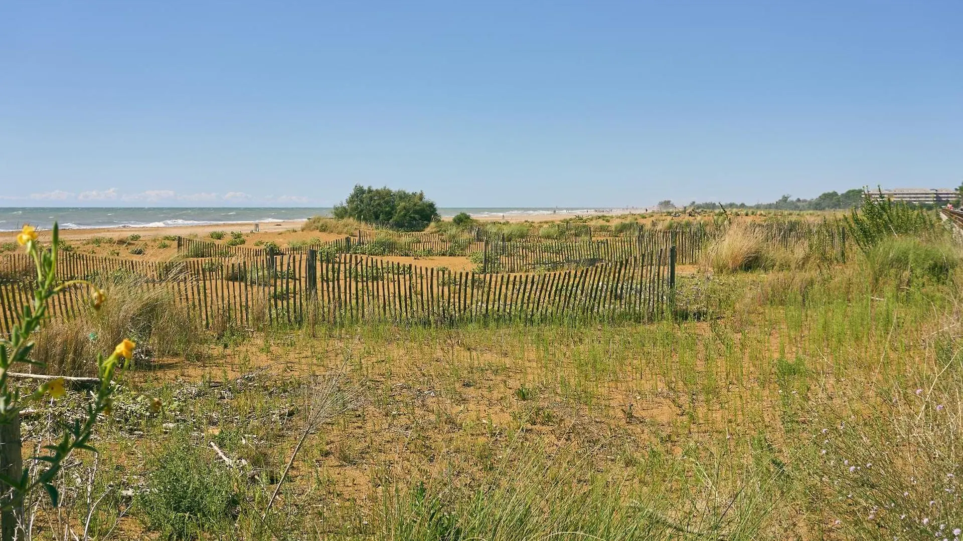 شقة Flat A Few Steps From The Sea - Beahost بيبيوني