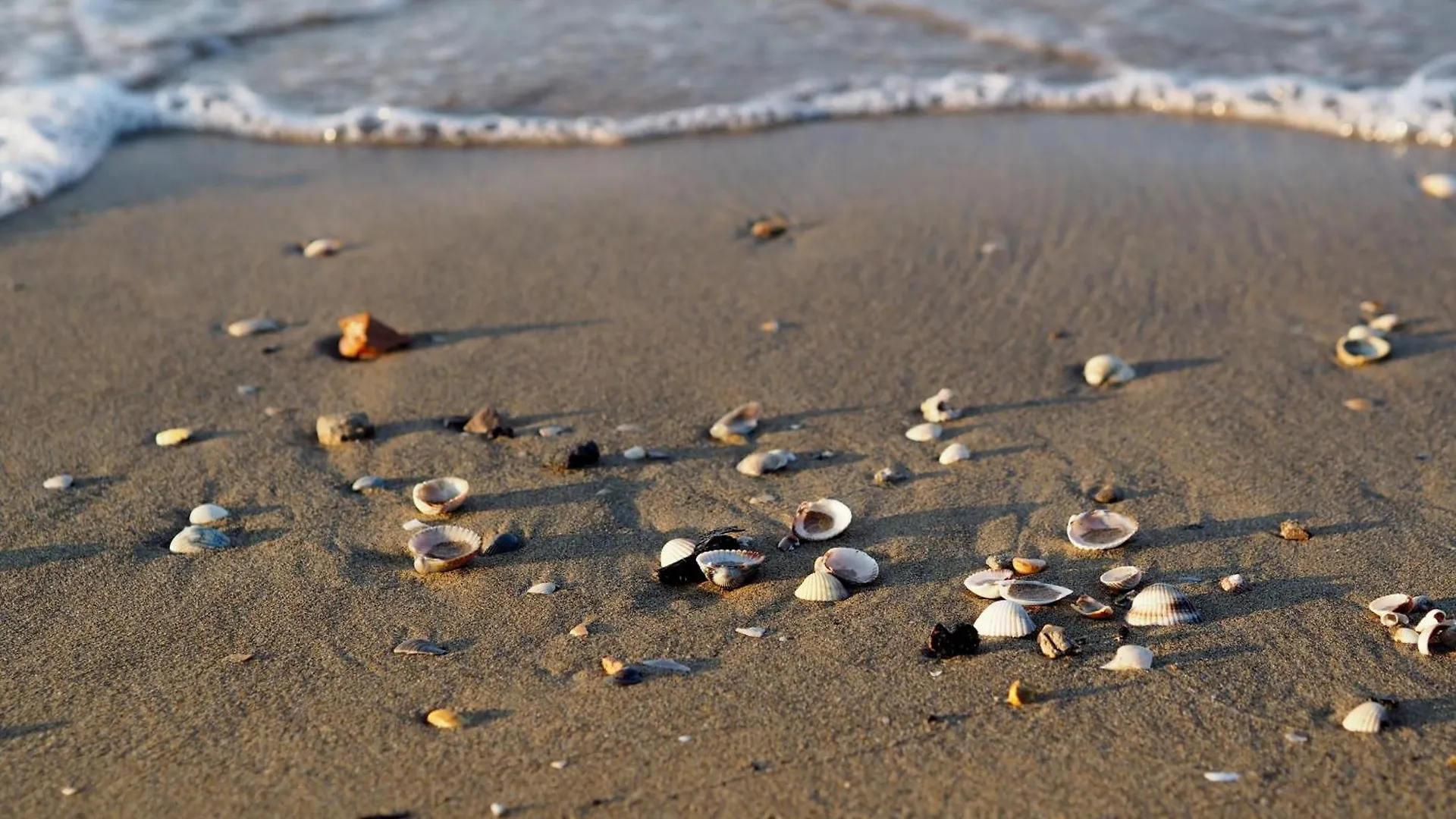 شقة Flat A Few Steps From The Sea - Beahost بيبيوني